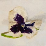 Pansy, oil on panel, 3” x 5”, 2009
